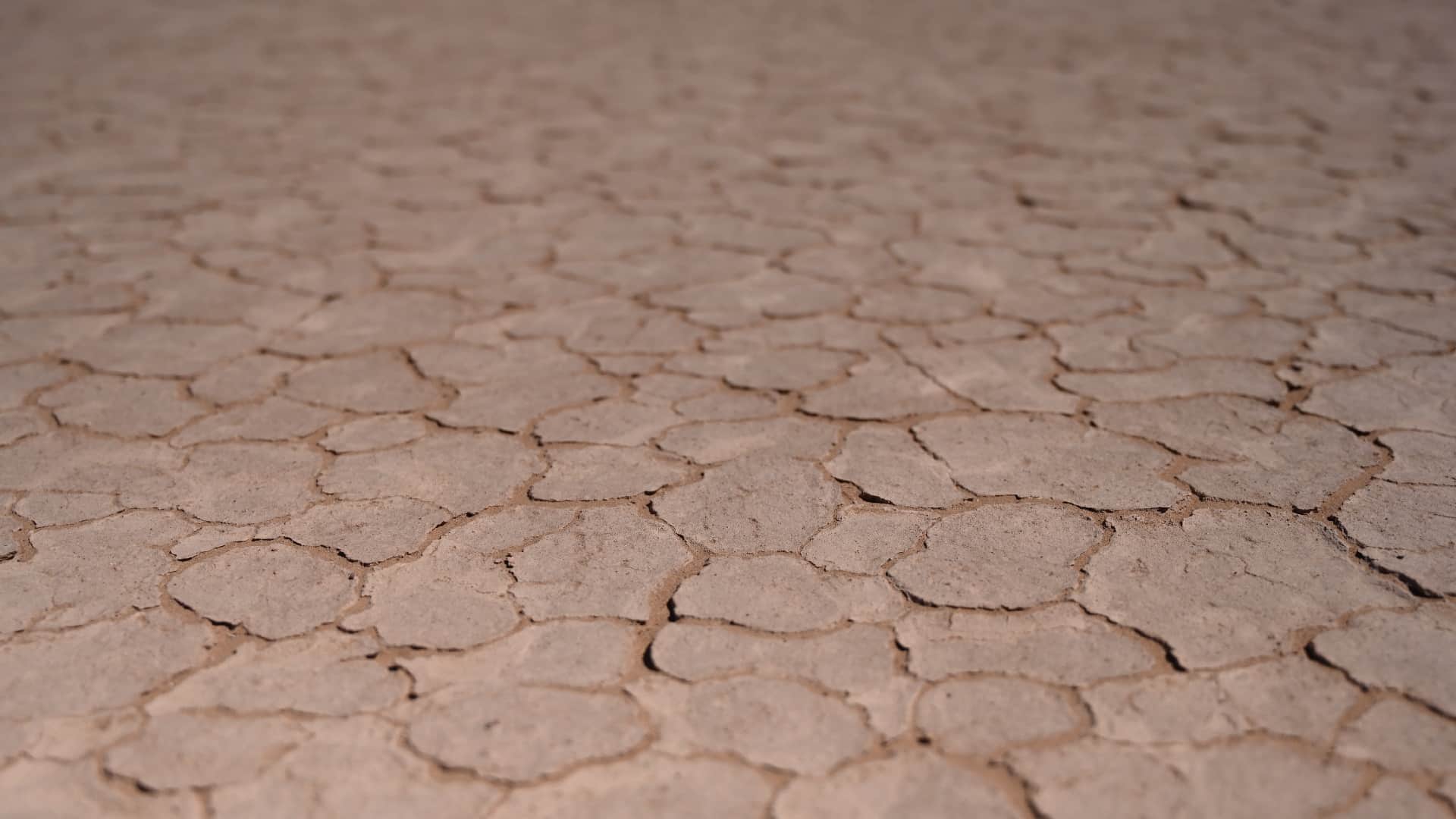 temperature et duree du jour