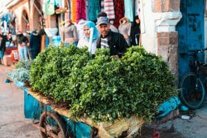 charette ambulante pour vendre des herbes aromatiques au maroc