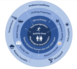 model thermophysiologique