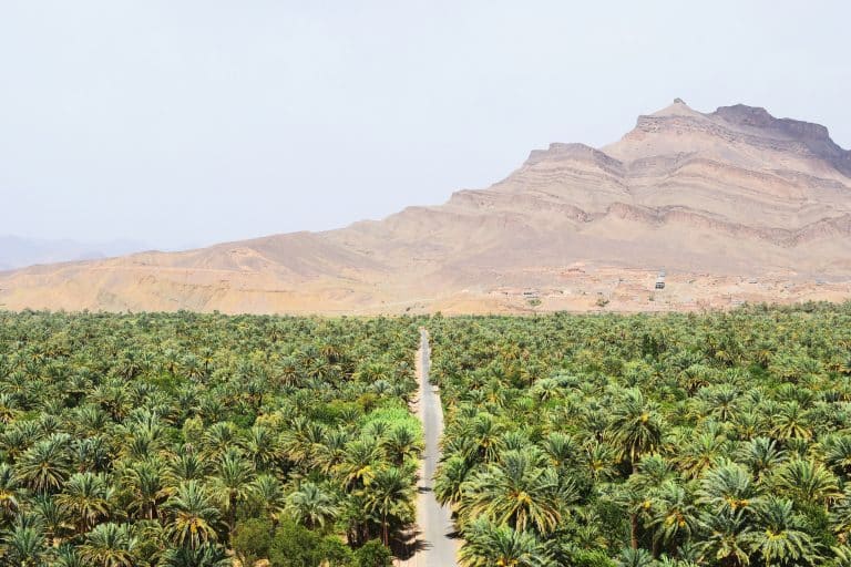 route vers zagora et vue sur la palmeraie par max van den oetelaar