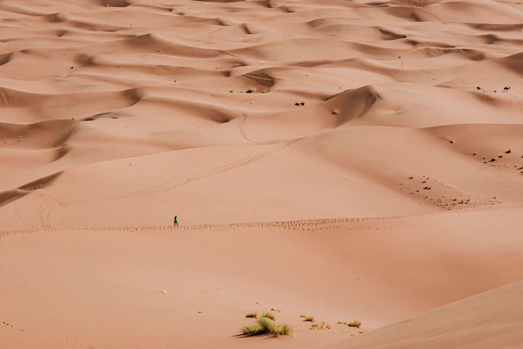 temperatures et duree du jour pour marcher dans le desert
