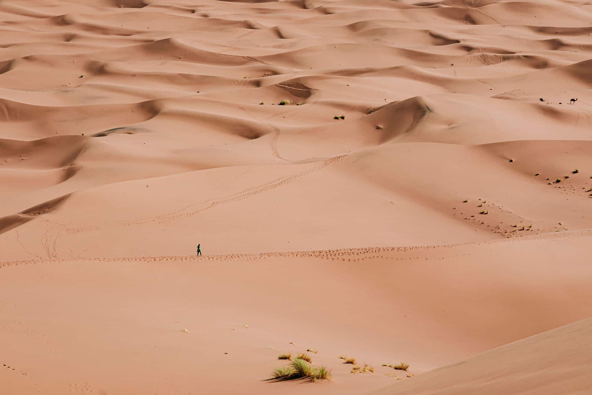 temperatures et duree du jour pour marcher dans le desert