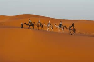 une caravane chameliere traverse le desert
