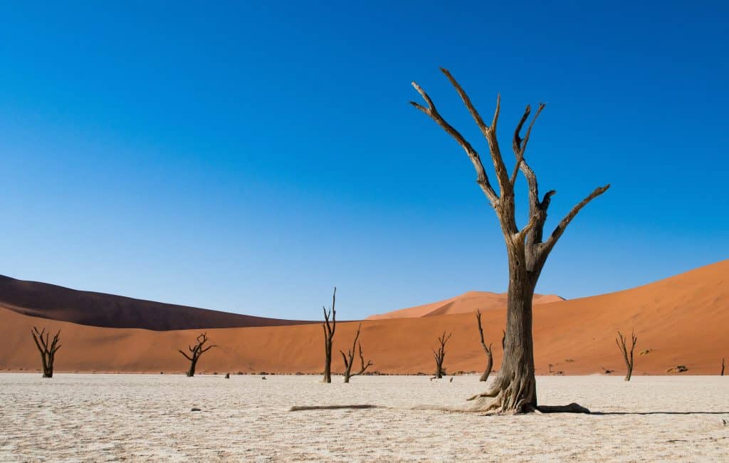 vue paysage du desert namib par sam power