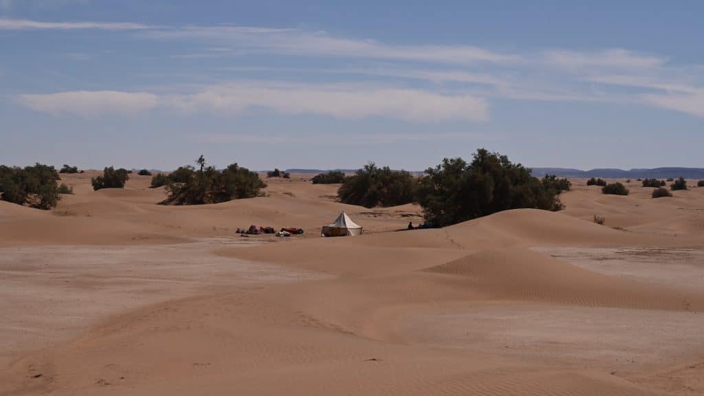 Une tente est à l'abri des tamaris au milieu des dunes de l'erg sidi Naji