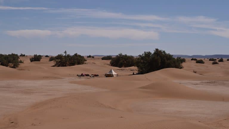 Une tente est à l'abri des tamaris au milieu des dunes de l'erg sidi Naji