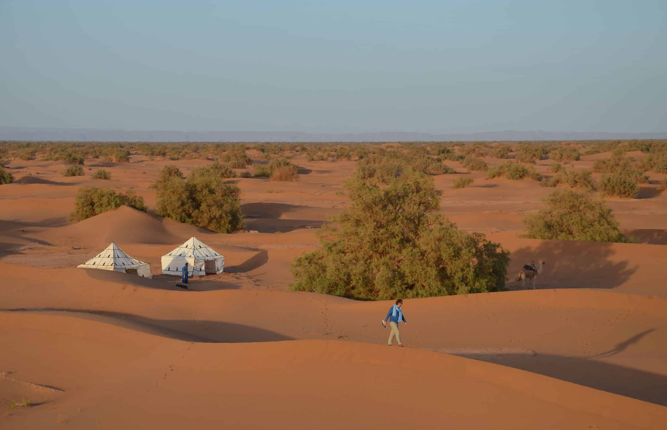 Un bivouac nomade de plusieurs tentes est installé sur les dunes de l'erg Smar