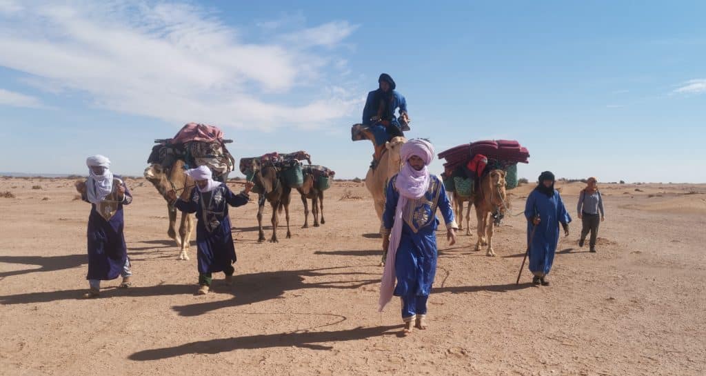 Des guides nomades marchent en caravane avec leur dromadaire