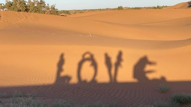 Quatre personnes font un jeu d'ombre avec le soleil pour écrire le mot LOVE avec des postures de Yoga