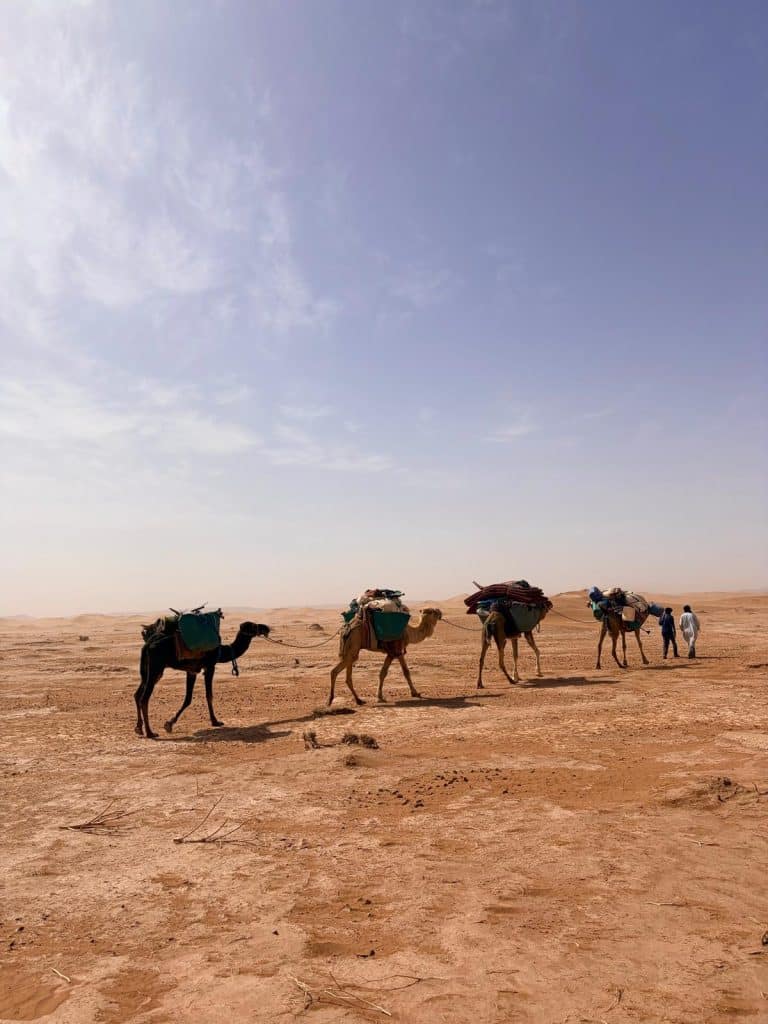 la caravane marche au souffle du desert