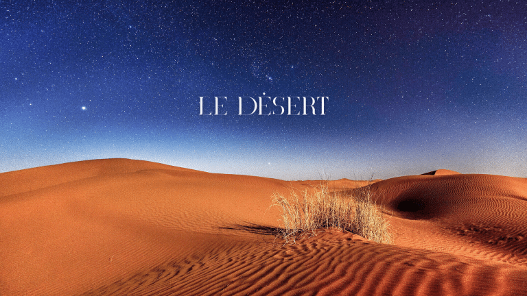 Le désert de nuit, sous les étoiles