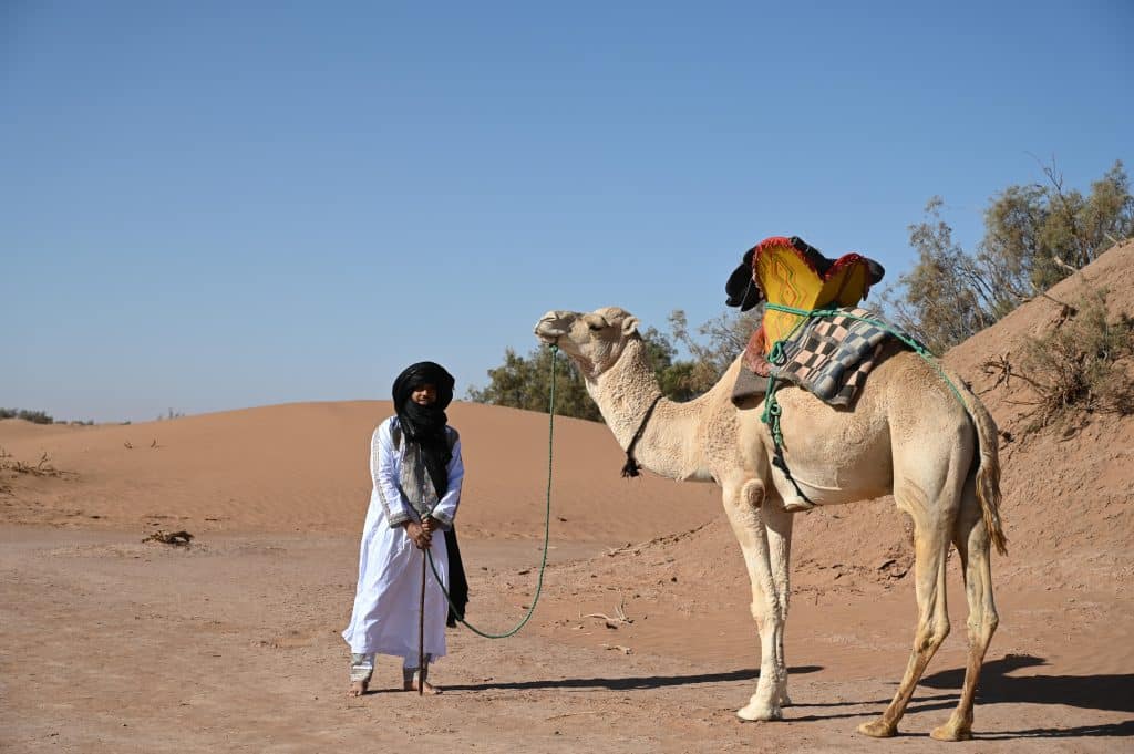 un nomade pose avec son dromadaire scellé
