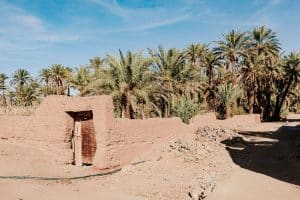 Une porte et un muret en pisé donne sur une palmeraie.