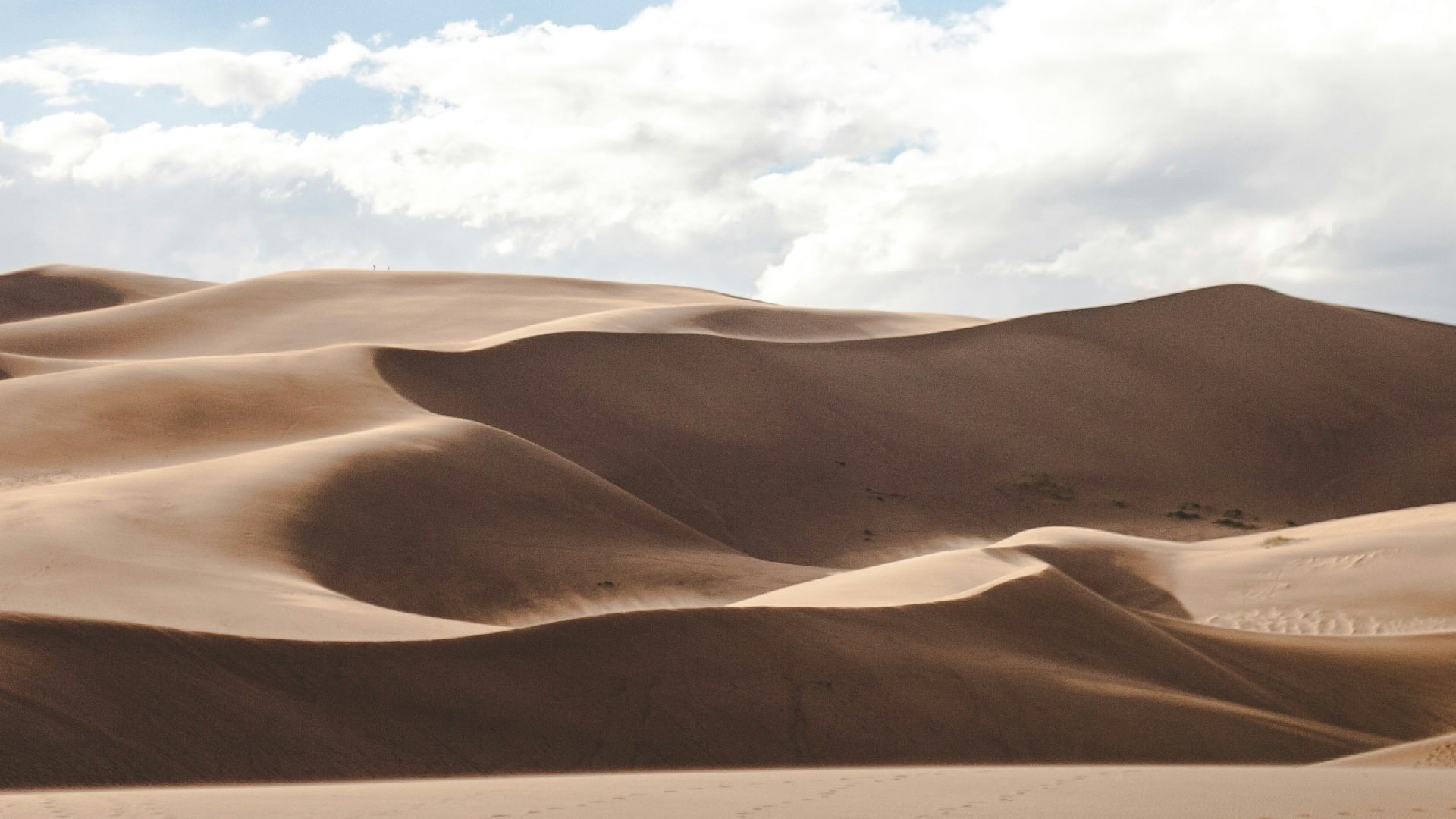 paysage de dunes du désert