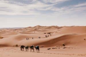 vue paysage dune caravane chameliere qui marche vers la grande dune