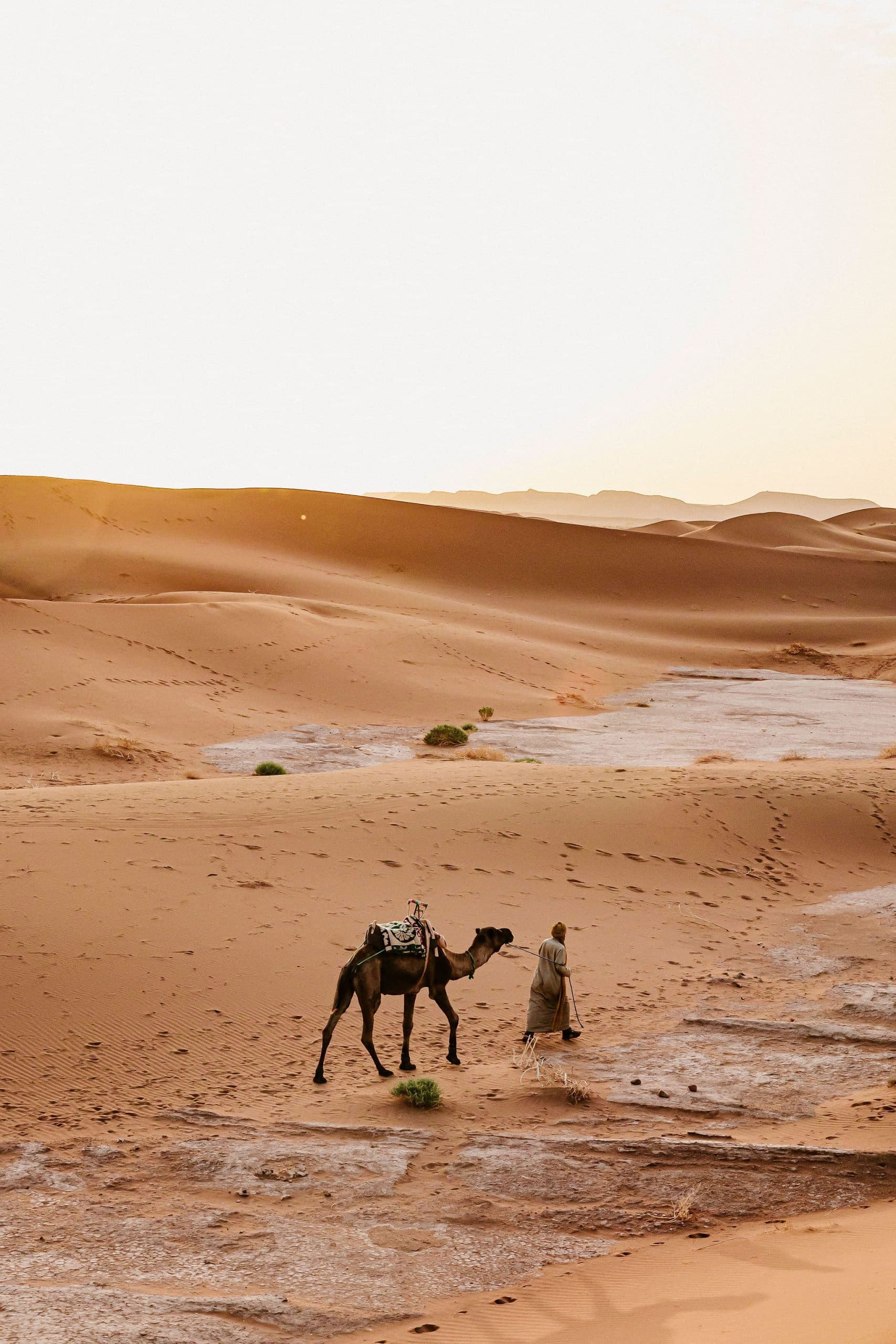 un homme et son dromadaire dans les dunes