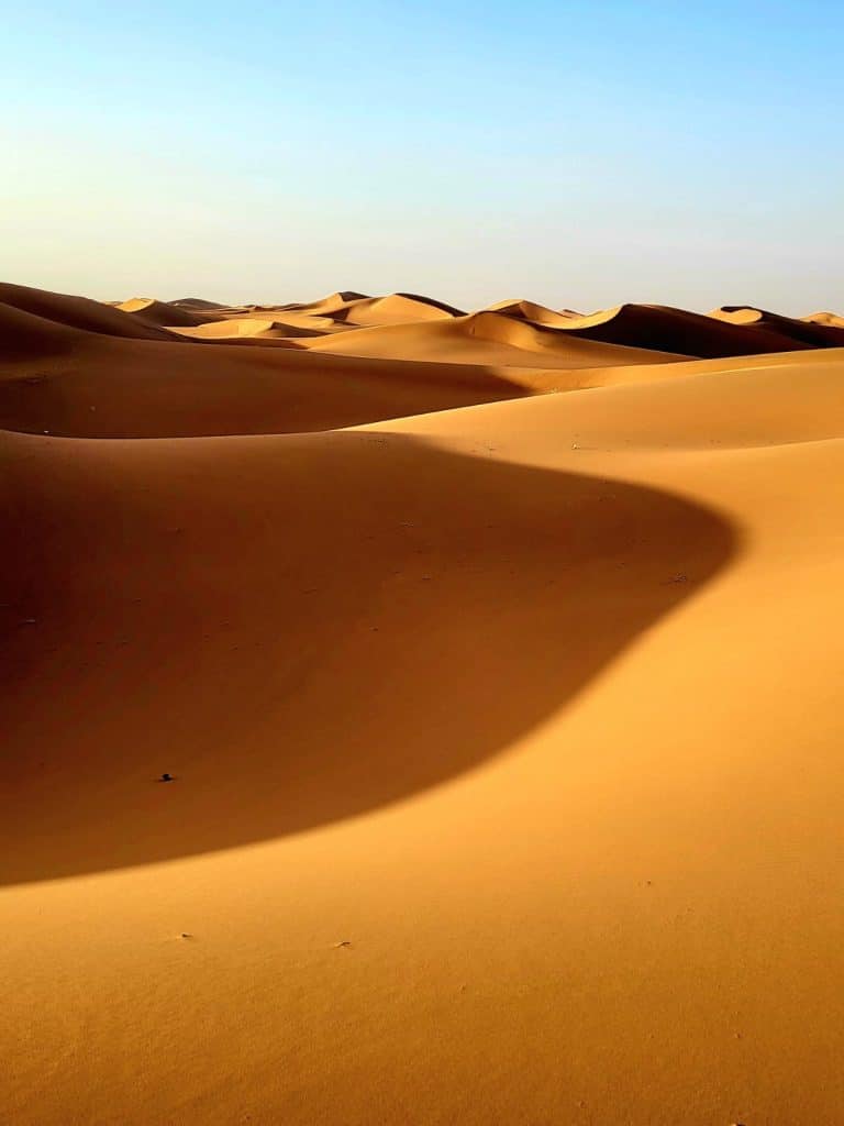 panorama des dunes du desert marocain